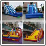 Attactive Inflatable Slide ,cartoon Inflatable Slide Giant Used Inflatable Slide for Kids