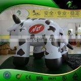 Vivid Interesting Commercial Inflatable Dairy Cow, Inflatable Milk Cow for Advertising and Promotion thumbnail-3