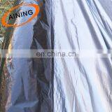 Black and White Plastic Strawberry Mulch Film With Low Price thumbnail-2