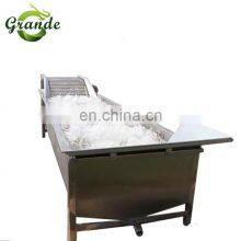 500kg/h Industrial Automatic Fruit Washer Dryer Vegetable Washing Machine Basil Bubble Washing Machine thumbnail-5