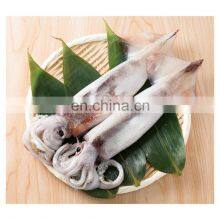 Hot Sale WR IQF Frozen Todarodes Squid Whole