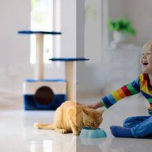 PDB220 1080P FHD 2.4GHz WiFi Pet & Nanny Camera thumbnail-1