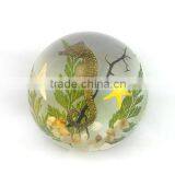Green Sea Life Glow in Dark Resin Home Desk Acrylic Decoration thumbnail-4