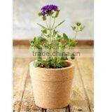 Cork Flowerpot/cork Planter thumbnail-1