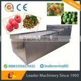 Leader whole sale plum pitting machine with website:leaderservice005