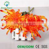 Оптовая продажа многоцветных латексных искусственных ПУ-цветов, хризантем, букетов с реальным ощущением для свадебного украшения и выставки цветов 2016 года thumbnail-5