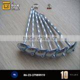 China Zinc Nails/large Head Nail With Washer/Galvanized Umbrella Head Roofing Nails thumbnail-5