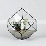 Hot Sale High Quality Geometric Glass Terrarium thumbnail-1