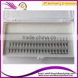 High Quality 0.05mm 0.07mm Russian Volume Lash Fans,3D-10D Cluster Eyelash Extension thumbnail-2