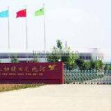 Hebei Youtian Sewing Machine Co., Ltd. company overview - view 1 thumbnail