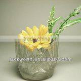 Shell Shaped Flower Vase With Frog