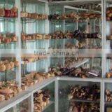 Qinhuangdao Fortune International Trade Co., Ltd. company overview - view 1 thumbnail