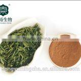 High Quality Green Tea Polyphenols at Lowest Price for Sliming Purpose thumbnail-3