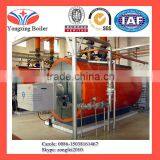 Hot Sale All Over the World CWNS Series Natural Gas Water Boiler thumbnail-1
