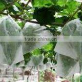 China Nonwoven Fabric Supplied by Manufacturer for Packing Grapes and Banana thumbnail-3