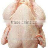 FRESH FROZEN CHICKEN thumbnail-4