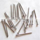 China Manufacturers Supply of Common Nails Polished for Wood thumbnail-1