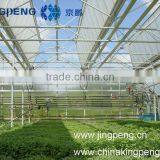 Fully Opened Roof PC Sheet Greenhouse thumbnail-1