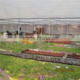 Multi-span Galvanized Black Out Greenhouse thumbnail-5