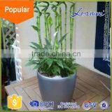 Made in China Round Colorful Plastic Plant Pots thumbnail-1