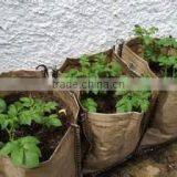 Non Woven Fabric Tomato Grow Bag by Non Woven Grow Bag thumbnail-2