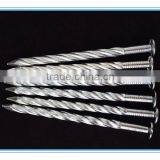 HOT !thread Rolling,wood Screw Nail thumbnail-1