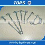 Smooth Shank Galvanized Roofing Nails/gal Roofing Nails thumbnail-4