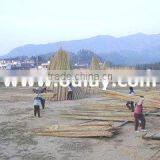 Xiamen Oulay Imp.& Exp. Co., Ltd. company overview - view 1 thumbnail