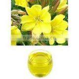 Evening Prime Rose Oil thumbnail-4