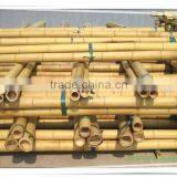 Hot Sale Bamboo Poles /bamboo Canes With Low Price thumbnail-3
