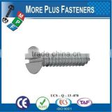 Made in Taiwan ISO 1482c BS 4174 Slotted Countersunk Head Tapping Screws