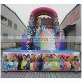 Excellent Quality Long Inflatable Water Slide Pool / Princess Outdoor Water Slide Inflatable for Sale