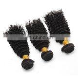 8A Virgin Hair Kinky Curly 100% Natural Original Brazilian Human Hair for Black Women thumbnail-4