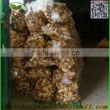 Fresh Ginger for China/Fresh Ginger thumbnail-3