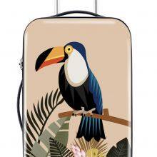 Travelled Box thumbnail-1