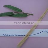bamboo chopsticks with paper wrapper