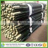 Hot New Product for 2015 Green Painted Heavy Duty t Post thumbnail-6