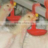 China Poultry Nipple Drinking System