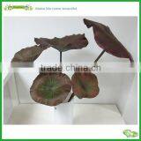 Artificial Single Lotus Leaf in Lifelike Appearence thumbnail-2