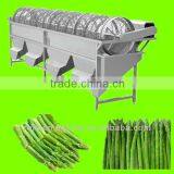 Snipped Asparagus Grading Machine thumbnail-1