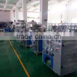 10gram Sugar Stick Packing Machine