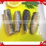 Canned Sardine from Morocco fish