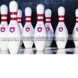 TM - 150s боулинговая кегельная печатная машина с одноцветной ковровой печатью thumbnail-6