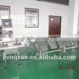 CJB2000-G Grading Weight Checker thumbnail-1