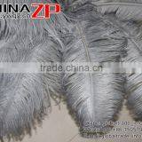 CHINAZP Factory Exporting Leading Bulk Sale Colored Stripped Silver Grey Large Ostrich Feathers for Weddings thumbnail-6