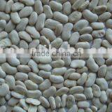 2015 New Crop Flat White Kidney Bean(712) thumbnail-1