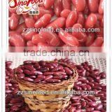 Canned Red Kidney Beans in Can Tins Package With Metal thumbnail-1
