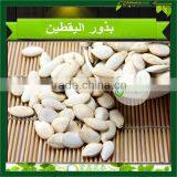 Snow White Pumpkin Seeds 2015 New Crop thumbnail-2