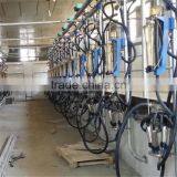 Automatic Dairy Milking Equipment With Cheap Cost