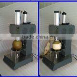 Automatic Stainless Steel Diamond Shape Coconut Trimming Machine thumbnail-1